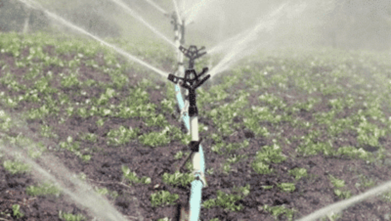 Impianti di Irrigazione