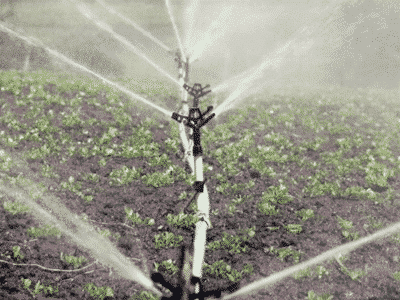 Irrigazione - Irrigatore per irrigazione