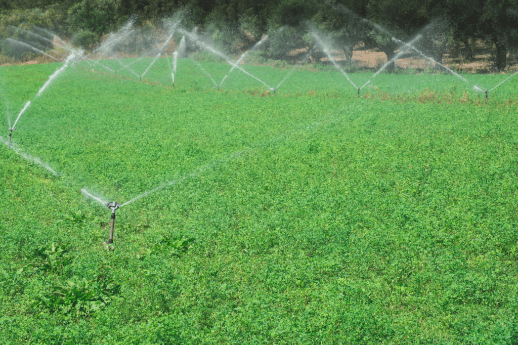 impianto di irrigazione